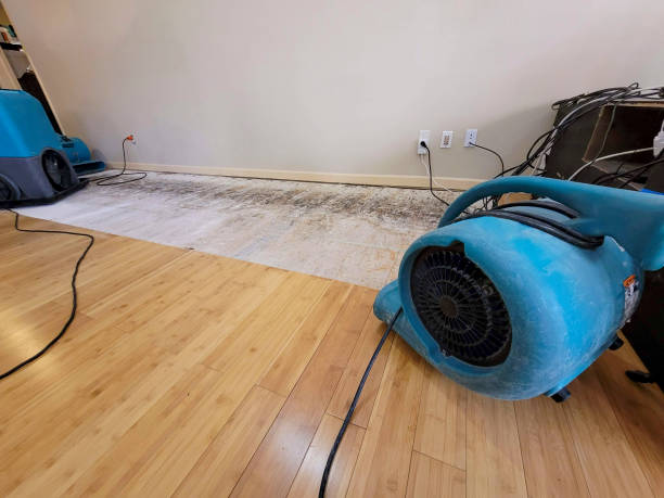 Professional Water Removal technician working in Beasley, TX